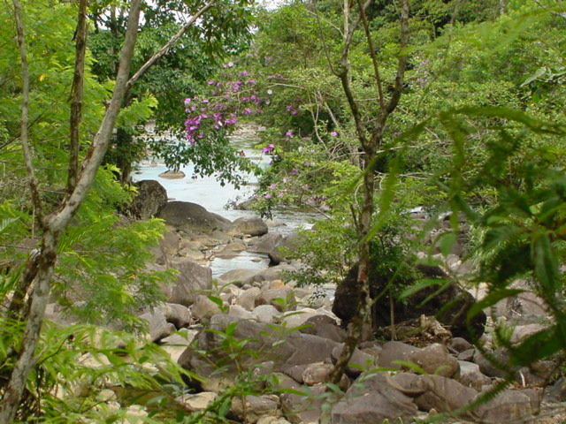 Cachoeira do Paraíso